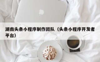 枣阳湖南头条小程序制作团队（头条小程序开发者平台）